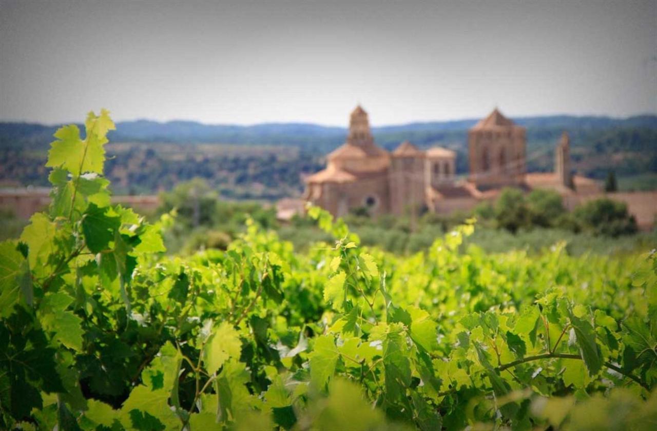 La Masia De Rende Masdeu Apartment L'Espluga de Francoli